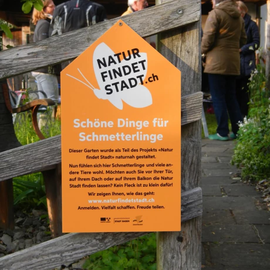 Eventkommunikation Sportanlass