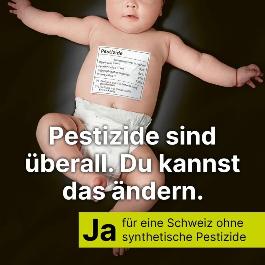 IT-Integration Verband