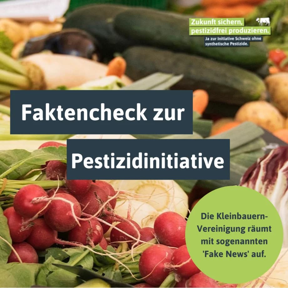 CRM-Einführung Verband