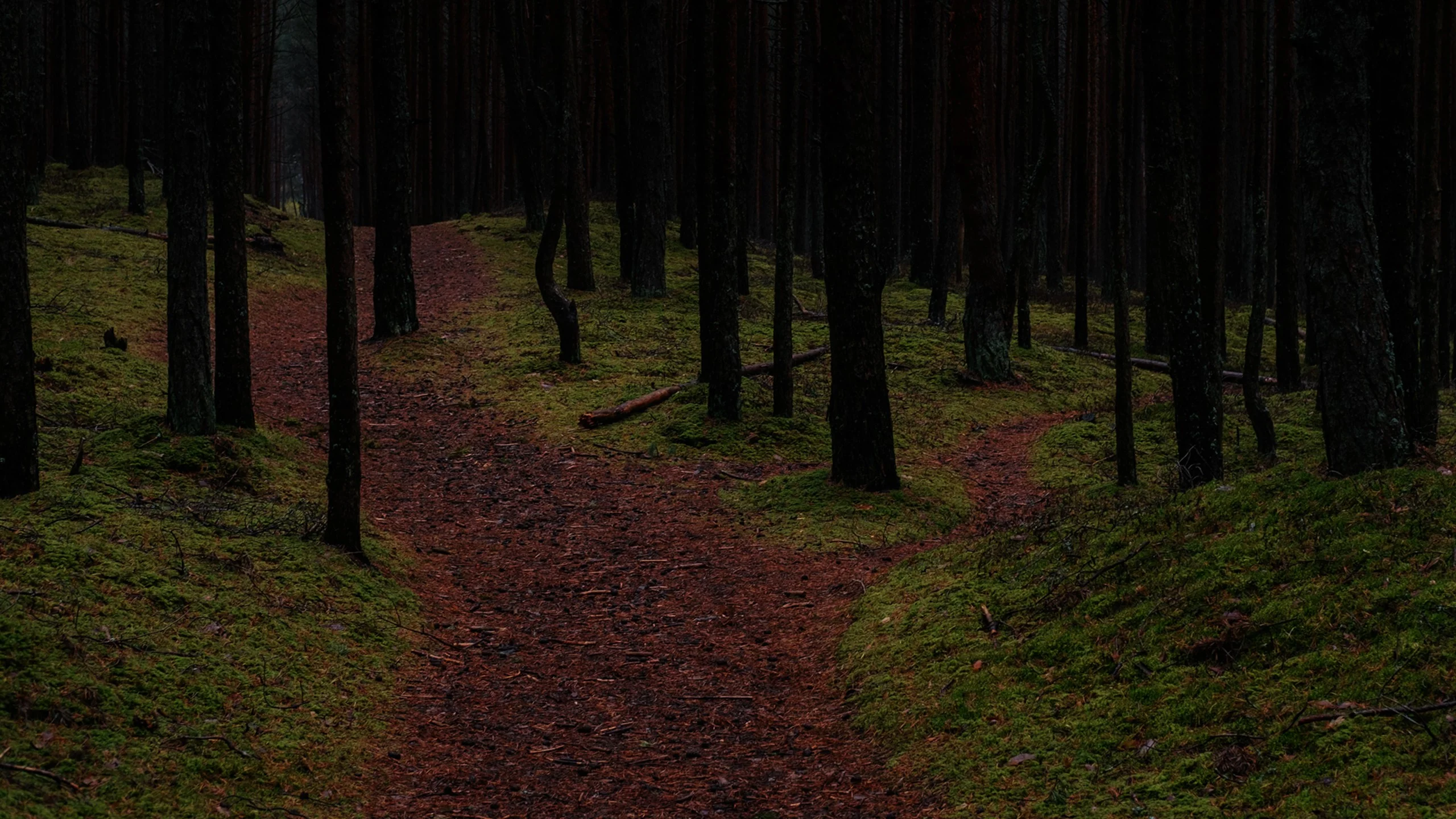 Scheideweg nachts im Wald © Kristaps Grundsteins