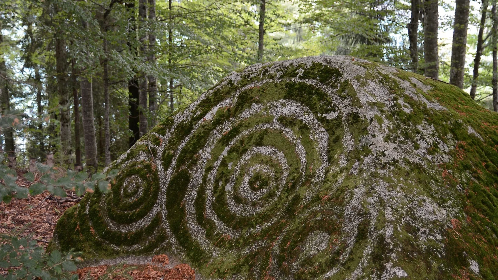 Führung zu Kraftplätzen der Schweibenalp