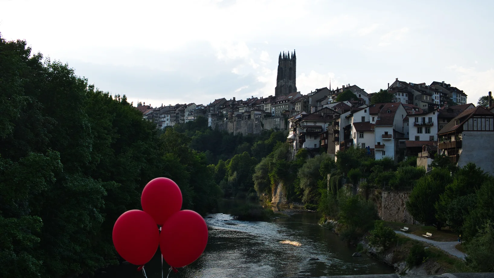 Fribourg Sarine et Cathédrale